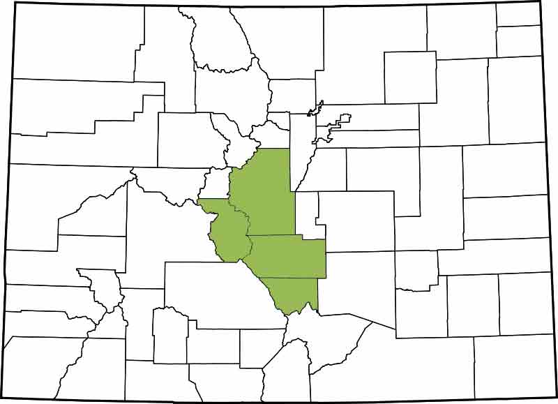 11th Judicial District- Chaffee, Custer, Fremont, Park