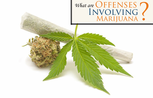 Charged with one of the Fort Collins Municipal Court Offenses Involving Marijuana? Read more about your charges and why you need an attorney on your side.